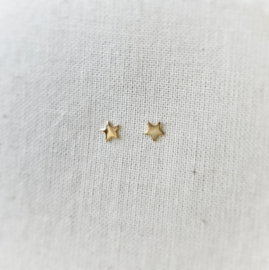 Oorbel ster 3,5 mm |  Paar | Gold filled