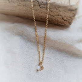 Geboorte ketting | Goud geboortesteen & cut out letter