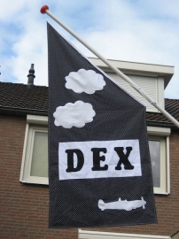 Vlag 49