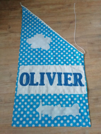 Vlag 507