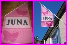 Vlag 211