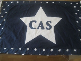 Vlag 261