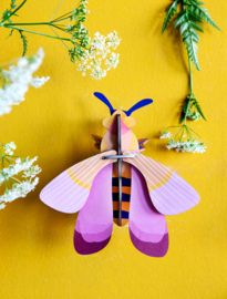 Pink Bee - Studio Roof