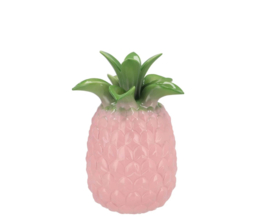 Tropische Ananas vaas - roze