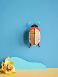 Lemon Fruit Beetle - Studio Roof