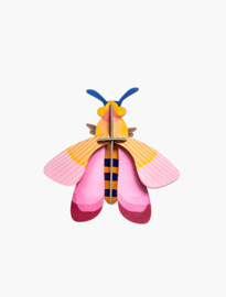 Pink Bee - Studio Roof
