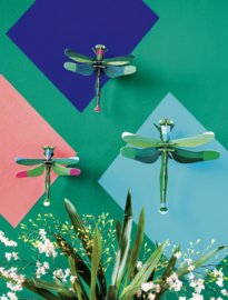 Dragonflies - Libellen set van 3 - Studio Roof