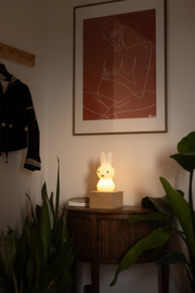 Nijntje Schijnt Lampje