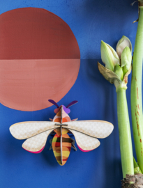 Honey Bee - Studio Roof