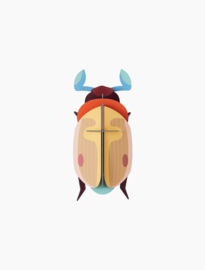 Lemon Fruit Beetle - Studio Roof