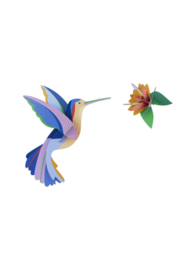 Kolibrie - Hummingbird - Studio Roof