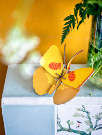 Yellow Butterfly - Studio Roof