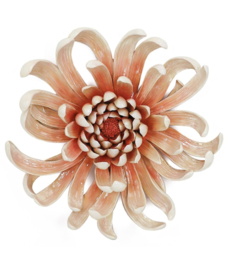 Wanddecoratie Bloem Peach