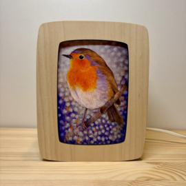 Robin | Loes Botman