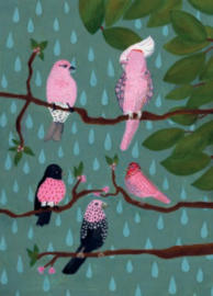 Pink birds