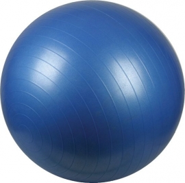 Fitness bal Ø 65 cm