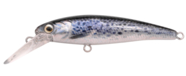 Spro Ikuru jerk 50 - Sea trout