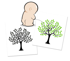 Colour Changing Potty Sticker Tree - 3 Stickers