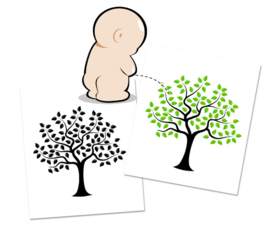 Autocollant thermosensible pour les toilettes - Arbre - 3 Stickers