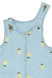 The new mini denim dress saja 202