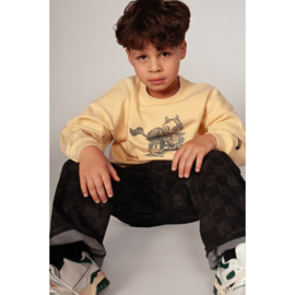 Sturdy jeans check grey denim 107
