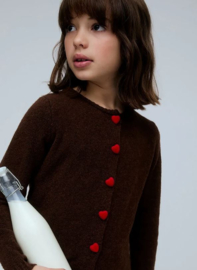 Compania fantastica vest bruin hartjes 21
