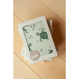 Feetje pyjama timmy turtle mint