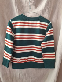 Mini Rebels sweater Bisho dark green 101