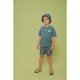 Sturdy shirt petrol 66