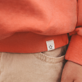 Your wishes sweater burnt sienna 216