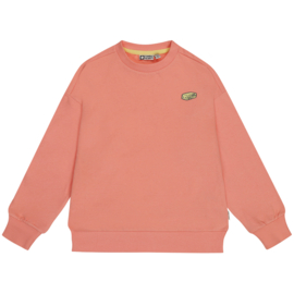 Tumble n dry sweater claire desert flower 108