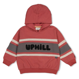 Sturdy sweater red 118