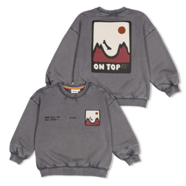 Sturdy sweater grey 114