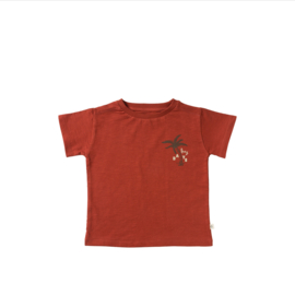 Your wishes shirt slub ezra barn red 37