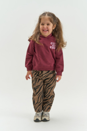 The new little sweater verla burgundy 43