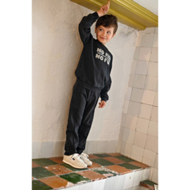 Sturdy sweater anthracite 116