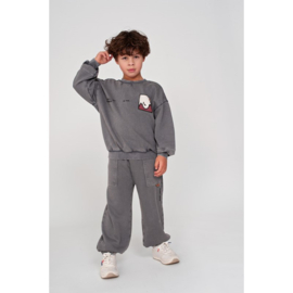 Sturdy broek grey 115