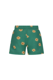 The new chapter zwembroek vic 68