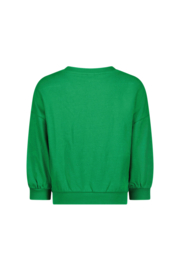 The new chapter sweater groen benja 123