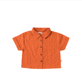 Your wishes baby blouse vision pika apricot brandy 23