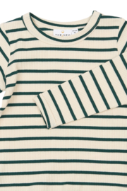 The new little shirt vico june bug striped 36