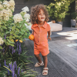 your wishes short flower terry coral 269