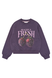 The new sweater vianca sweet grape 07