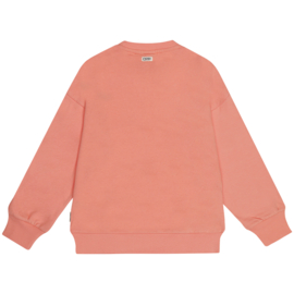 Tumble n dry sweater claire desert flower 108