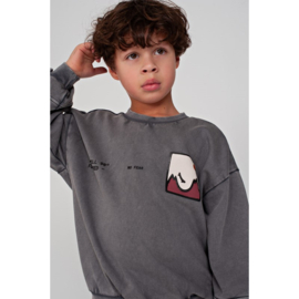 Sturdy sweater grey 114