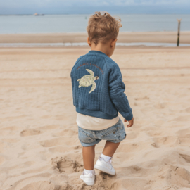 Your wishes vest turtle blue 265