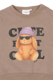 The new little sweater verla taupe grey 38