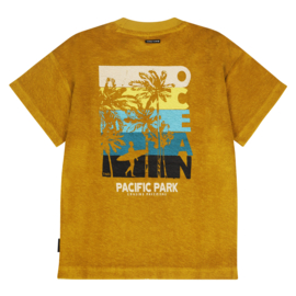 Tumble n dry pacificus golden palm 68