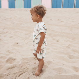 Your wishes short ocean life 228