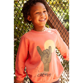 Sturdy sweater orange coral cactus 67